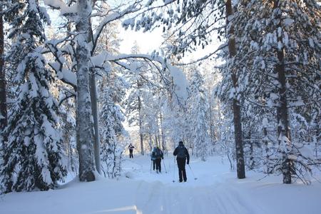 Skiwanderung Kalevala