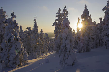 Winterlandschaft Finnland Schnee (c) Klaus-Peter Kappest