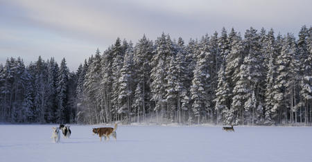 Winterwoche Eräkeskus 