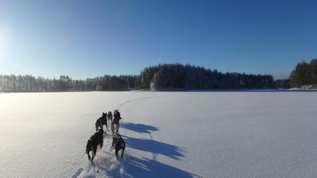 Ferien auf der Huskyfarm in Karelien, Huskysafari durch verschneite Landschaft