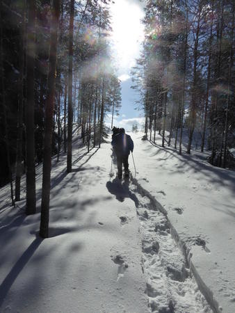 Ferien auf der Huskyfarm in Karelien, Schneeschuhwanderung durch den Winterwald