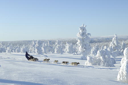 2 Tage mit Huskys auf Tour am Inari-See