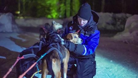 Auf Tuchfühlung mit den Huskys