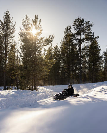 Fahren Sie Ihr eigenes Eiskart