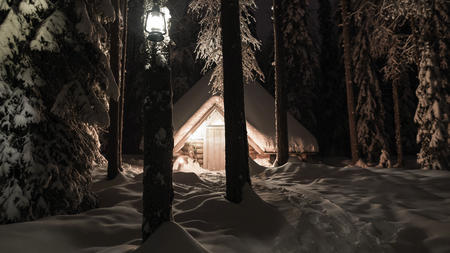 Grillhütte im nächtlichen Winterwald