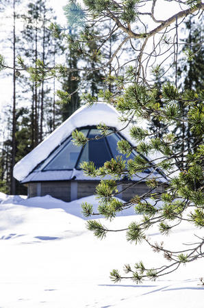 In der Saija-Lodge: Sky Cabin am See
