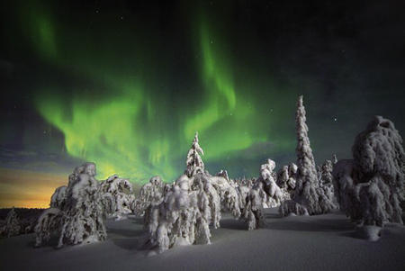 Nordlichter 