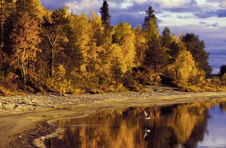 Die wahre Schönheit Lapplands im Herbst