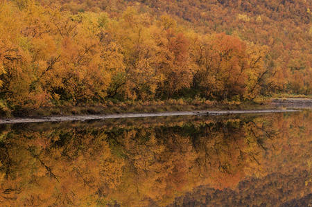 Ruska Herbstfarben in Finnland