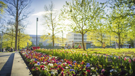 Frühling in Tampere Finnland (c) Laura Vanzo/Visit Tampere