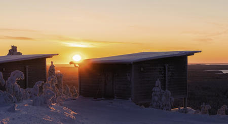Arctic Giant Birdhouse Hotel