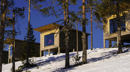 Vogelhäuschen mit Sauna 