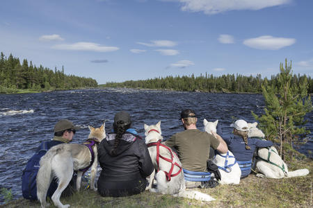 Unterwegs mit den Huskys