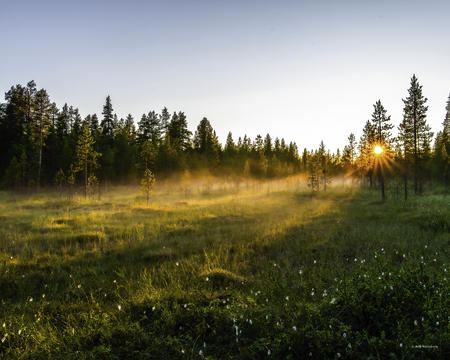 Unberührte Natur