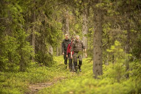 Wanderung durch den Wald