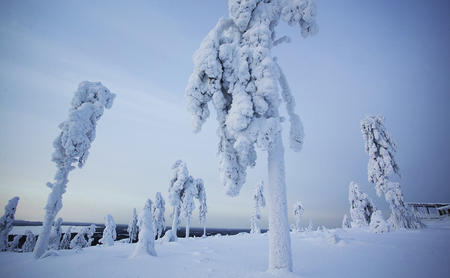 Umgeben von Schnee
