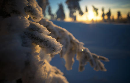 Sonnenuntergang im Winterwunderland