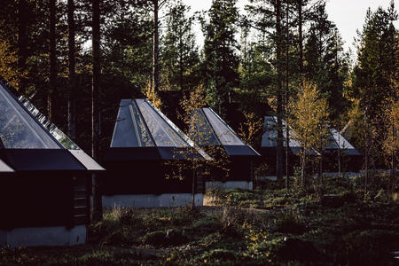 Wohnen Sie im bunten Herbstwald