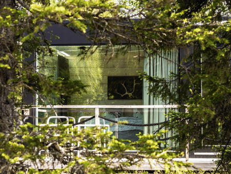 Glas-Villa im Sommerwald