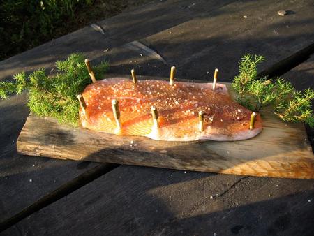 Loimukala, Flammlachs (c) Kumpunen