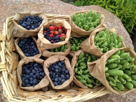 Frisches Obst und Gemüse vom Hof (c) Kumpunen