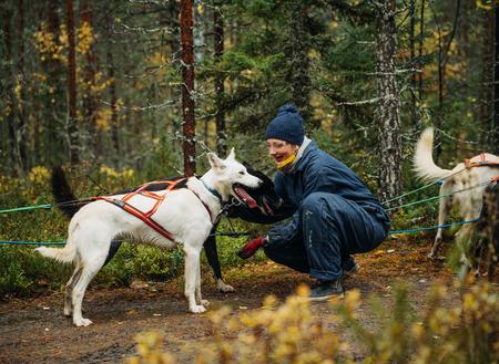 Huskyfahrt im Schlitten auf Rädern