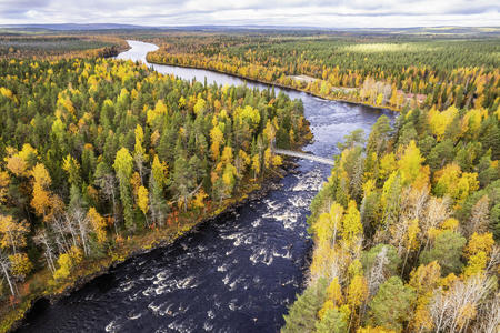 Herbstzeit rund um Rovaniemi (c) Visit Finland, Marko Junttila