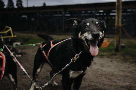 Große Vorfreude auf die anstehende Fahrt