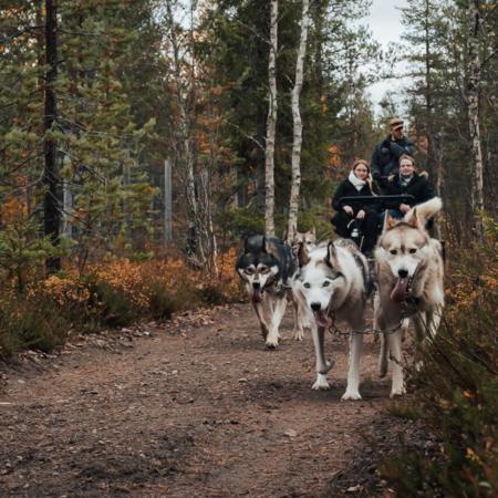 Huskysafari auf Rädern