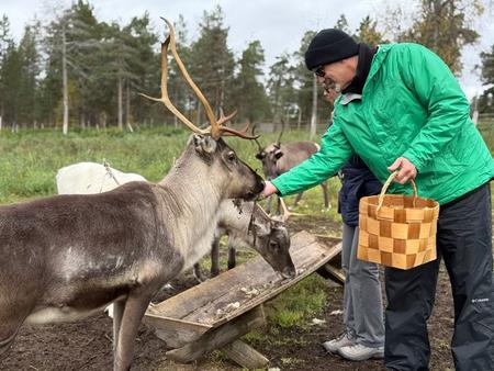 Rentierfütterung (c) Soma Adventures
