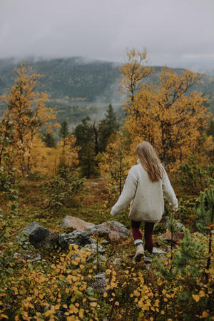Herbstlandschaft rund um Levi (c) Visit Finland, Julia Kivelä