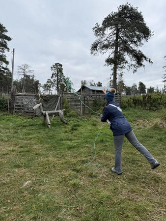 Lassowerfen auf der Rentierfarm (c) Soma Adventures