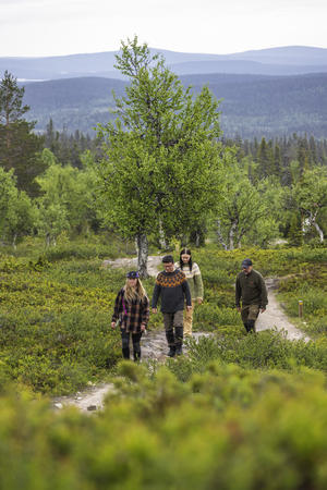 Geführte Wanderung durch die Fjälls