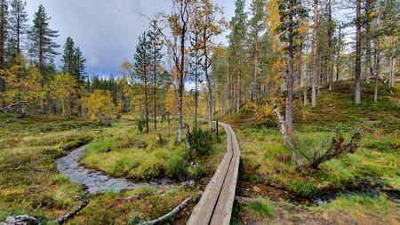 Wanderweg im Nationalpark